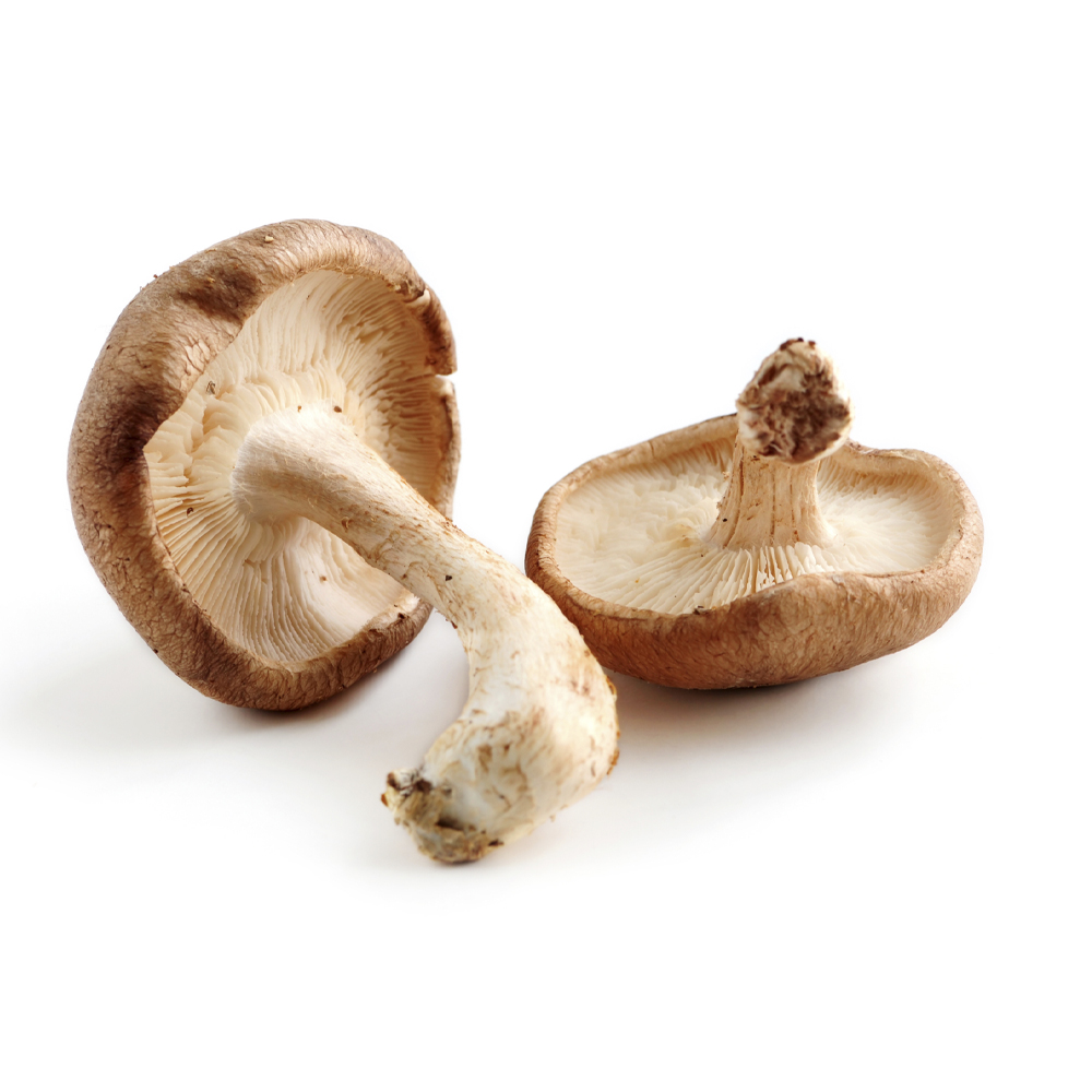 Shiitake Mushroom Extract 