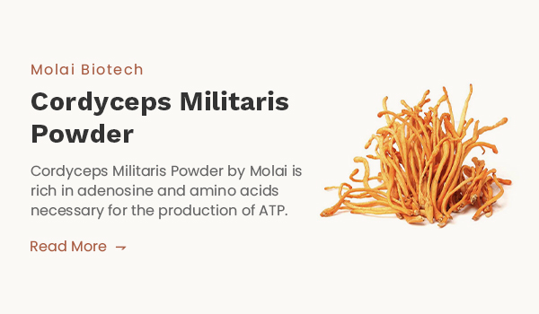 cordyceps militaris mushroom extract