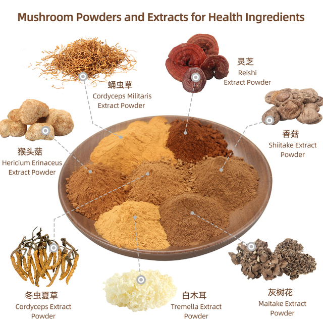 Reishi Mushroom Shiitake Mushroom Enoki Mushroom Extract Blends